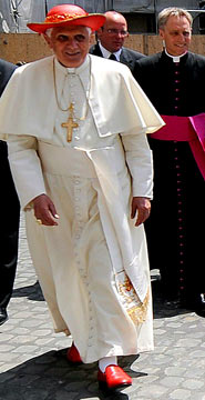 pope_2_358228a.jpg