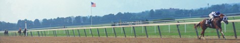 Secretariat_the_belmont